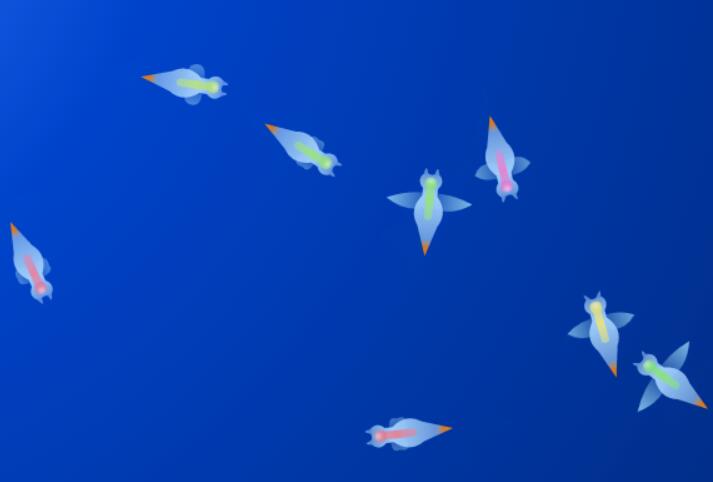 canvas绘制金鱼在水里自由游动效果的js特效代码