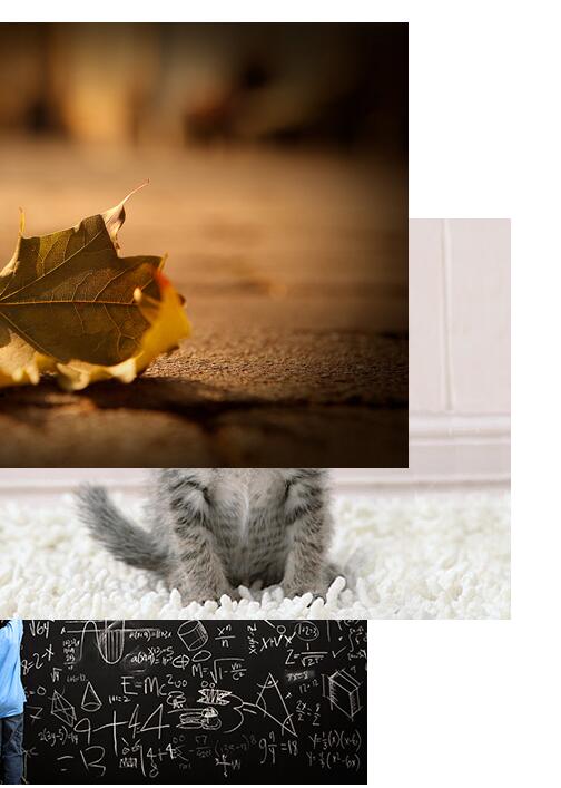 鼠标移动网页图片层叠视觉动画特效js代码